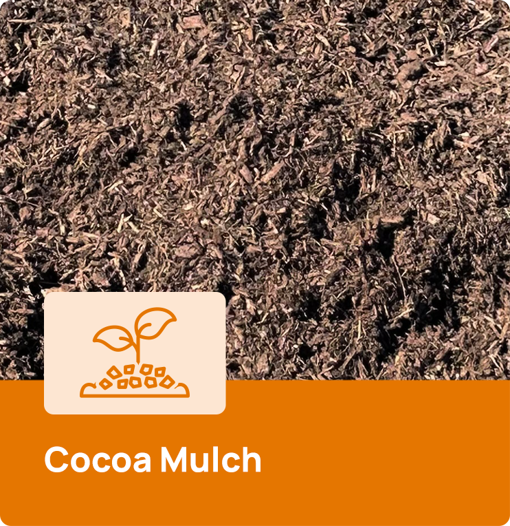 Cocoa Mulch