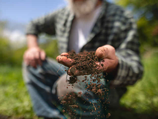 Dirt Guy