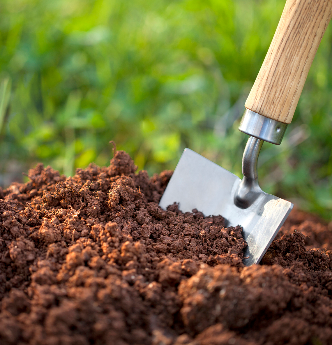Soil Types