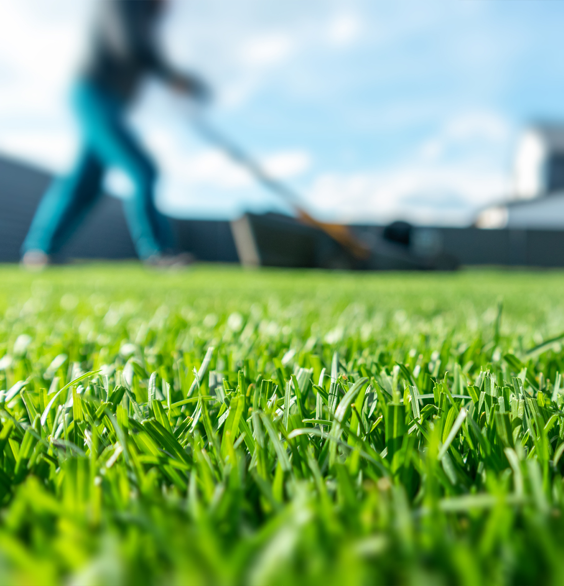 Lawn Care Tips